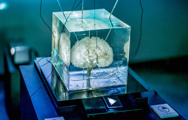 東京大学制作展 Extra 2018「Dest-logy」レポート #iiiEx