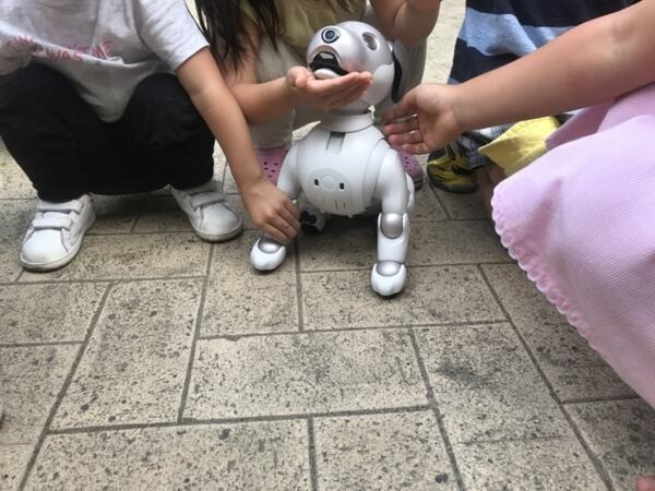 【aiboと散歩vol.3】子供にペットにするなら「犬かロボット」どちらがいいか聞いてみた！