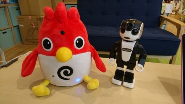 英会話ロボットCharpy（チャーピー）で英語力をチェックしてみた！