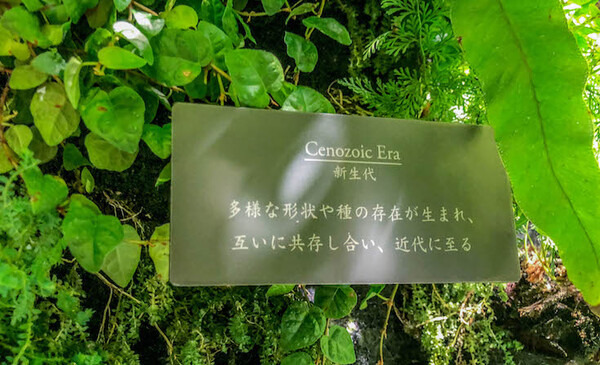 新世代家庭用ロボット「LOVOT」開発中のGROOVE Xが新オフィスに移転　早速お邪魔してきた！