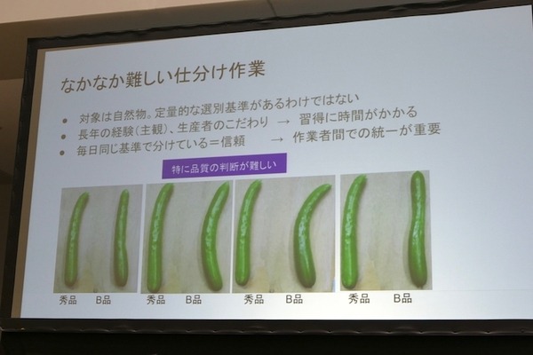 キュウリ自動判別、たこ焼きロボ、クレープなど調理や農業でロボット・AIを使いこなすメイカーたち #MFT2018