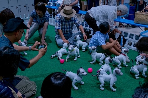 第一回「aiboファンミーティング」レポート　中が丸見えの「スケルトンaibo」の初展示も　#aibo