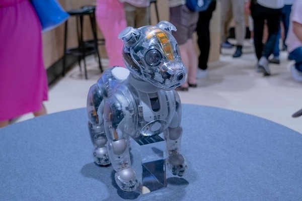 第一回「aiboファンミーティング」レポート　中が丸見えの「スケルトンaibo」の初展示も　#aibo