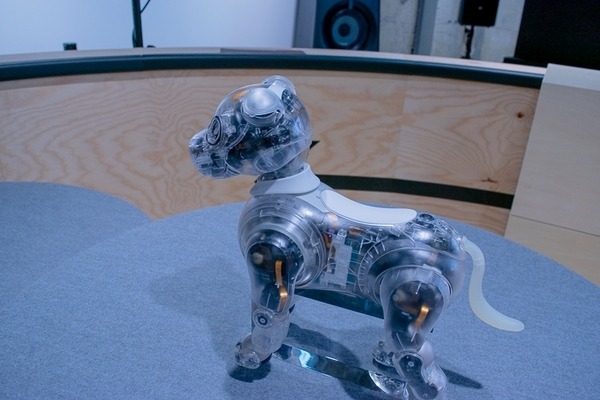 第一回「aiboファンミーティング」レポート　中が丸見えの「スケルトンaibo」の初展示も　#aibo