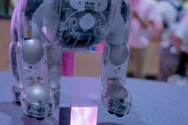 第一回「aiboファンミーティング」レポート　中が丸見えの「スケルトンaibo」の初展示も　#aibo