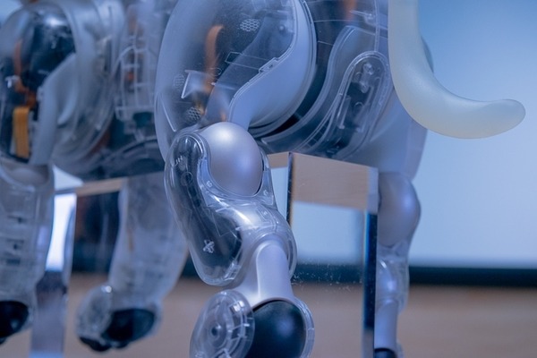 第一回「aiboファンミーティング」レポート　中が丸見えの「スケルトンaibo」の初展示も　#aibo