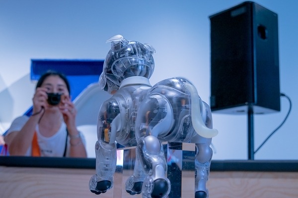 第一回「aiboファンミーティング」レポート　中が丸見えの「スケルトンaibo」の初展示も　#aibo