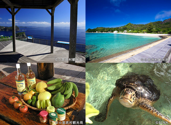 遠隔操作ロボットで「東京・竹芝から小笠原諸島を体験」抽選で70名、応募受付開始