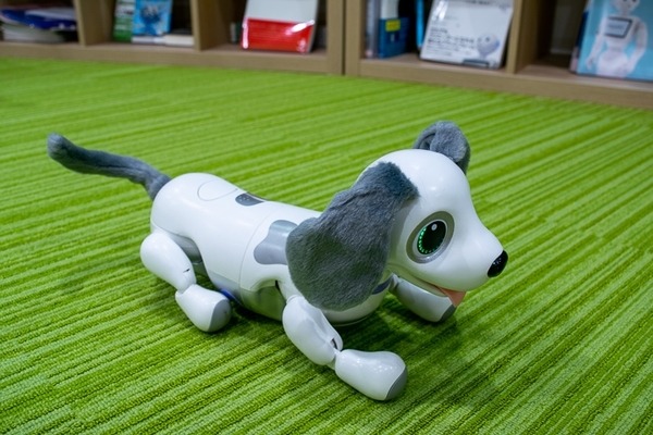 aiboよりやんちゃな犬型ロボット「ハロー！ズーマー ミニチュアダックス」タカラトミーが発売へ　価格は1万5千円