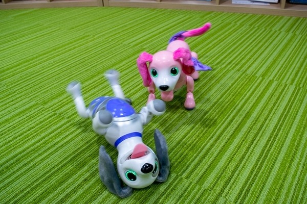 aiboよりやんちゃな犬型ロボット「ハロー！ズーマー ミニチュアダックス」タカラトミーが発売へ　価格は1万5千円