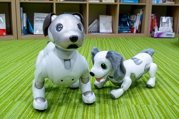 aiboよりやんちゃな犬型ロボット「ハロー！ズーマー ミニチュアダックス」タカラトミーが発売へ　価格は1万5千円