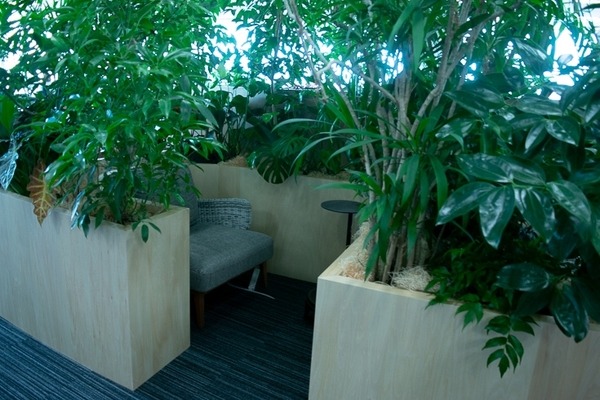 【フォトレポート】Amazonの新オフィスが初お披露目　多様性と働きやすさを重視