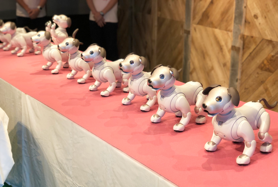 10体のaiboがお祝いダンス！ バラバラだけど可愛い　「GINZA PLACE」2周年記念企画