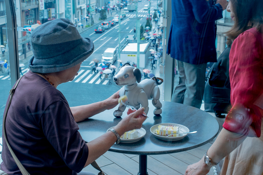10体のaiboがお祝いダンス！ バラバラだけど可愛い　「GINZA PLACE」2周年記念企画