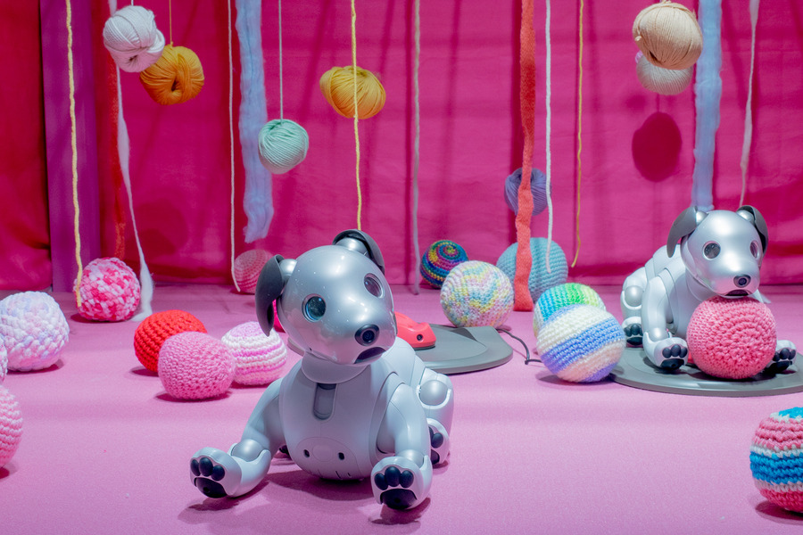 10体のaiboがお祝いダンス！ バラバラだけど可愛い　「GINZA PLACE」2周年記念企画