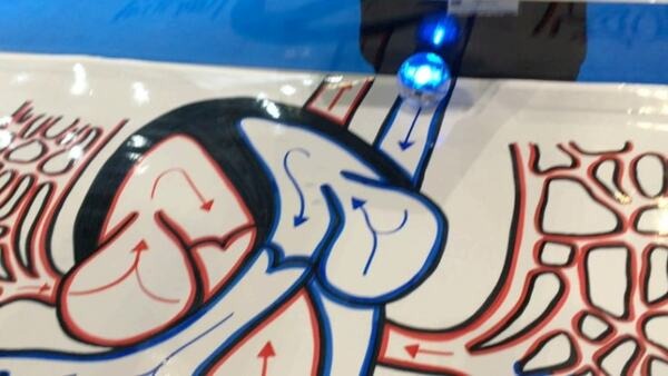 プログラミング教育130万人の利用実績を持つスフィロの新製品「Sphero BOLT」(スフィロボルト)が上陸！算数、理科、図工への応用例も紹介