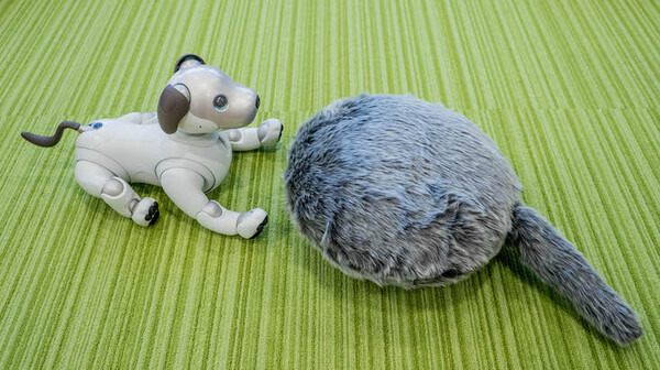 なでるとしっぽをフリフリ！ その構造は？ 注目ロボット「Qoobo」レビュー