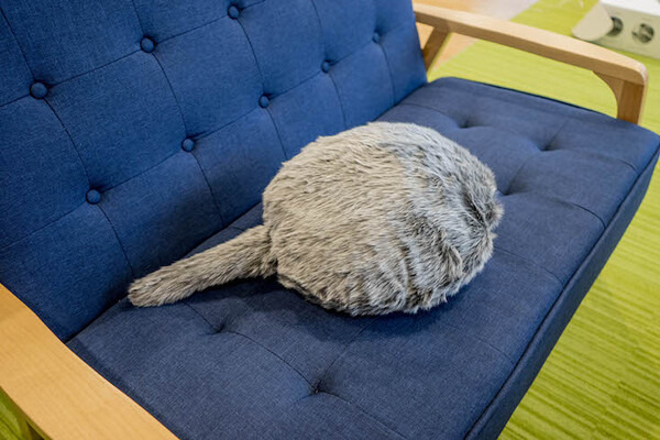 なでるとしっぽをフリフリ！ その構造は？ 注目ロボット「Qoobo」レビュー