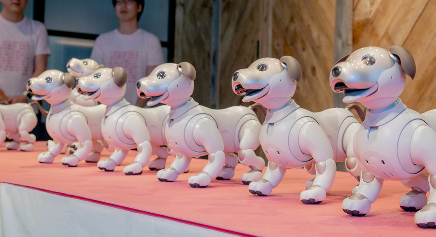 「aibo」で長期療養の子供に癒しを　ソニーと国立成育医療研究センターが効果検証へ