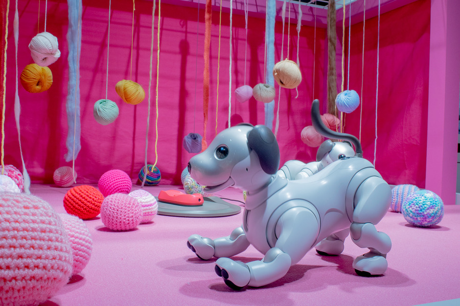 「aibo」で長期療養の子供に癒しを　ソニーと国立成育医療研究センターが効果検証へ