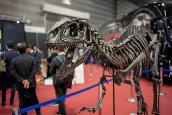 写真100枚を一挙公開「DOCOMO Open House 2018」フォトレポート！ by ロボスタカメラ部