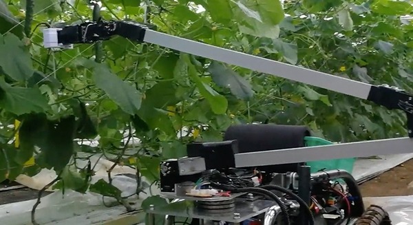 【農業の自動化】AI自動野菜収穫ロボットの動画を公開！スマート農業で「inaho」がX-Tech Innovatin2018最優秀賞を受賞