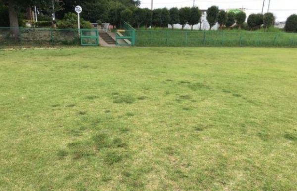ロボット芝刈機を遠隔地から操作　福島ロボットテストフィールドで