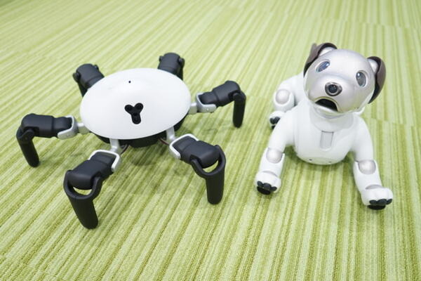 プログラミング可能なクモ型ロボット「HEXA」【レビューその1・開封の儀！ 】