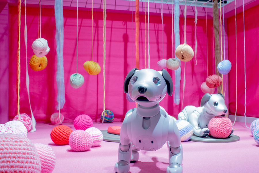 ロボスタ年間ランキング2018！「最も読まれた記事」「シェアされた記事」はあのロボットたち