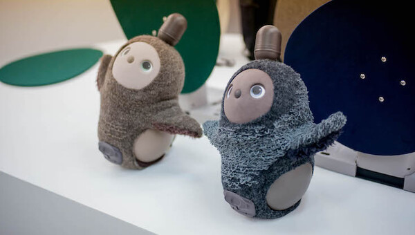 LOVOTの体験会、好評につき追加開催へ！ 2月24日まで土日祝に開催