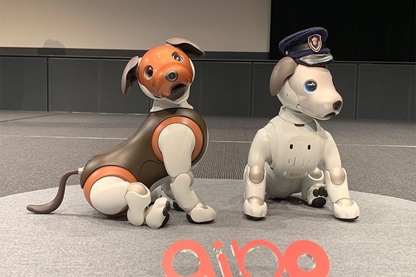 【速報】aiboの新色「チョコエディション」が発売へ！ 2月14日までに購入で「しっぽ」もプレゼント