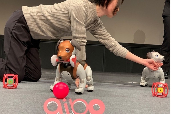【速報】aiboの新色「チョコエディション」が発売へ！ 2月14日までに購入で「しっぽ」もプレゼント
