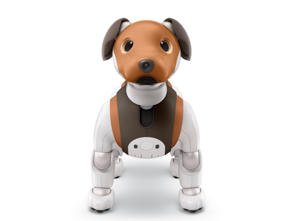 【速報】aiboの新色「チョコエディション」が発売へ！ 2月14日までに購入で「しっぽ」もプレゼント