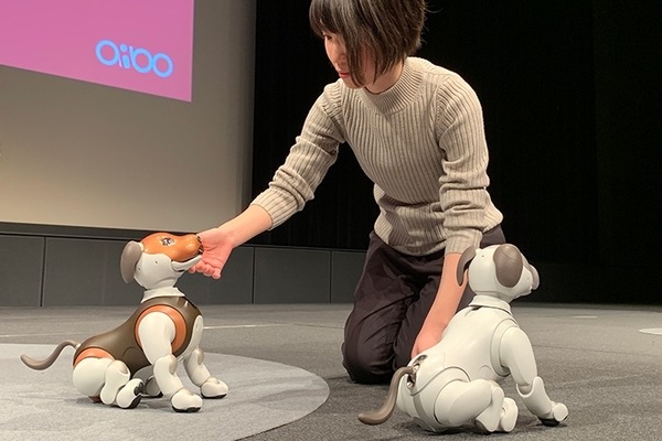 【速報】aiboの新色「チョコエディション」が発売へ！ 2月14日までに購入で「しっぽ」もプレゼント