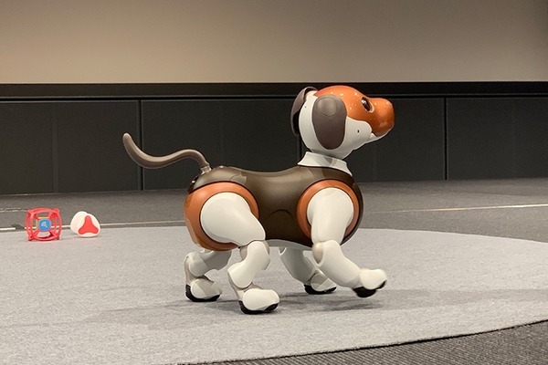 【速報】aiboの新色「チョコエディション」が発売へ！ 2月14日までに購入で「しっぽ」もプレゼント