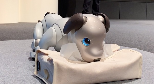 <p>シェア 0 ツイート 0 はてブ 0</p>