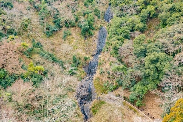 【ドローン未経験者歓迎】伊豆半島の絶景地をドローンで空撮する無料イベントを2月16日に開催、参加者募集中