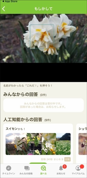 「この花の名前はなに?」写真を撮って花の名前がわかるAI機能「教えて！カメラ」 判別できる植物の種類が２倍に