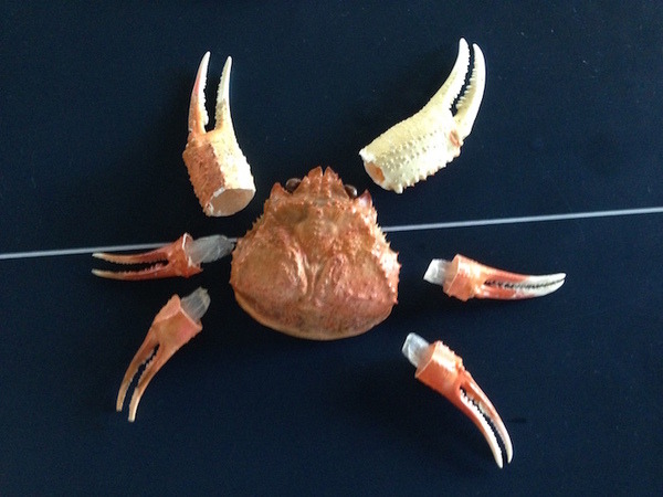 100円ロボ部の0回目イベント「手と腕」に行ってきました。