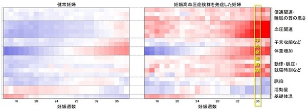 AIとゲノム解析で妊婦の病気を予防したり早期発見へ　NTTドコモとToMMoが約600万件のライフログなどから変動パターンを解明