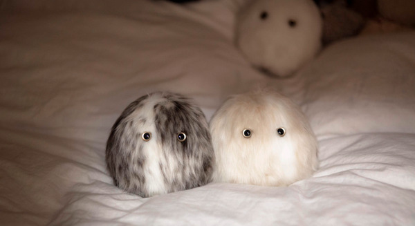 <p>シェア 0 ツイート 0 はてブ 0</p>