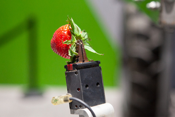 【GTC 2019】NVIDIAの小型ロボット「Kaya」が可愛い！展示会場で出会ったJetson搭載の自律ロボットたち　巨大な農業用ロボットも
