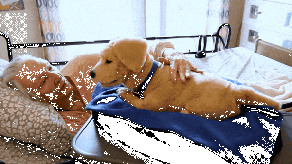 動きが超リアル！ 犬型ペットロボット「Tombot Puppy」がKickstarterに登場