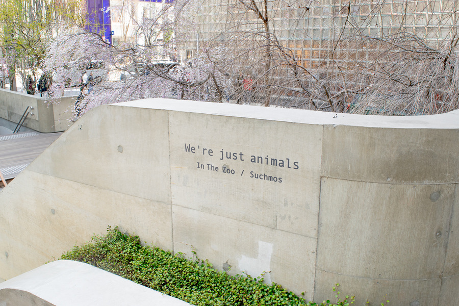 Xperia Hello!が12体で時計を表現！ ロックバンド「Suchmos」のニューアルバムとコラボ