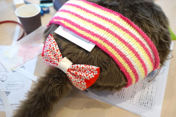 ユカイ工学の「Qooboファンミーティング」に行ってきた！ 開発秘話や新製品の構想も