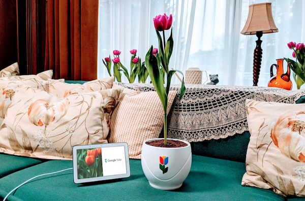 【Google Tulip】グーグルがGoogleアシスタント経由で花と会話できるサービスを発表【エイプリルフール】