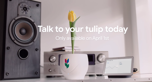 【Google Tulip】グーグルがGoogleアシスタント経由で花と会話できるサービスを発表【エイプリルフール】