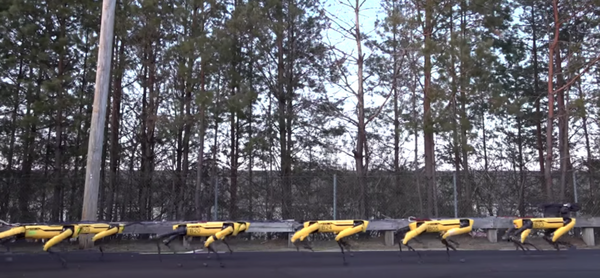 トラックを引く10体の「SpotMini」 ボストン・ダイナミクスが新たな動画を公開