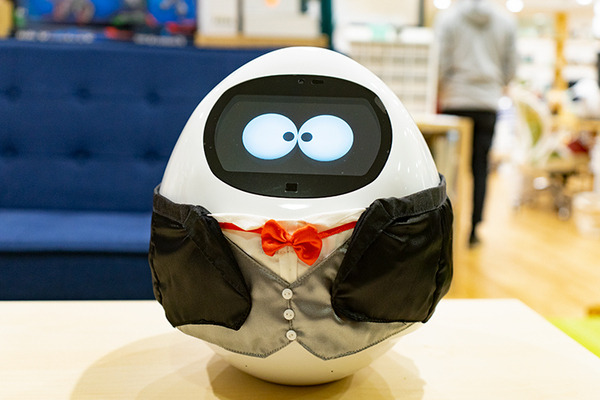 執事見習いロボット「タピ太」実機レビュー！高齢者や家族向け会話ロボットとしてユーキャンが販売