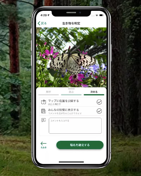 「生物の名前を知りたい」撮った写真からAI技術で名前を教えてくれる　京都大学発ベンチャーのアプリ「バイオーム」が好調